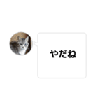 おかん瑪瑙さん（個別スタンプ：24）