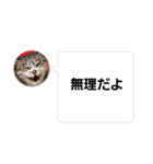 おかん瑪瑙さん（個別スタンプ：25）