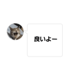 おかん瑪瑙さん（個別スタンプ：26）