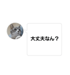 おかん瑪瑙さん（個別スタンプ：27）