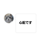 おかん瑪瑙さん（個別スタンプ：28）