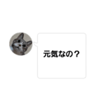おかん瑪瑙さん（個別スタンプ：29）