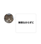 おかん瑪瑙さん（個別スタンプ：30）