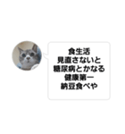 おかん瑪瑙さん（個別スタンプ：31）