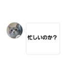おかん瑪瑙さん（個別スタンプ：33）