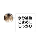 おかん瑪瑙さん（個別スタンプ：36）