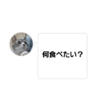 おかん瑪瑙さん（個別スタンプ：37）