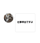 おかん瑪瑙さん（個別スタンプ：38）