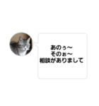 おかん瑪瑙さん（個別スタンプ：39）
