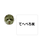 おかん瑪瑙さん（個別スタンプ：40）