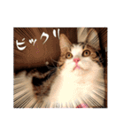 武kiyo I love neko（個別スタンプ：4）