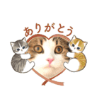 武kiyo I love neko（個別スタンプ：18）