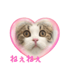 武kiyo I love neko（個別スタンプ：35）