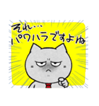 かわいいしゃちくねこ（個別スタンプ：29）