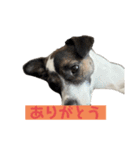 大天使キキちゃんVol.1（個別スタンプ：3）