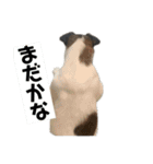 大天使キキちゃんVol.1（個別スタンプ：11）