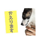 大天使キキちゃんVol.1（個別スタンプ：13）