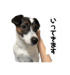 大天使キキちゃんVol.1（個別スタンプ：15）