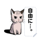 猫ミームと犬ミームに使えそうな絵（個別スタンプ：2）