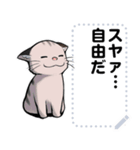 猫ミームと犬ミームに使えそうな絵（個別スタンプ：5）