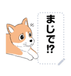 猫ミームと犬ミームに使えそうな絵（個別スタンプ：18）