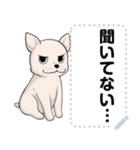 猫ミームと犬ミームに使えそうな絵（個別スタンプ：20）