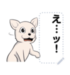 猫ミームと犬ミームに使えそうな絵（個別スタンプ：21）