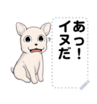 猫ミームと犬ミームに使えそうな絵（個別スタンプ：22）