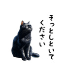 猫のスタンプpt3 黒猫 クロネコ 黒ネコ（個別スタンプ：2）