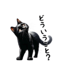 猫のスタンプpt3 黒猫 クロネコ 黒ネコ（個別スタンプ：8）