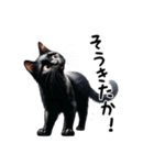 猫のスタンプpt3 黒猫 クロネコ 黒ネコ（個別スタンプ：9）