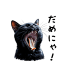 猫のスタンプpt3 黒猫 クロネコ 黒ネコ（個別スタンプ：10）