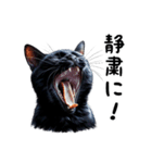 猫のスタンプpt3 黒猫 クロネコ 黒ネコ（個別スタンプ：11）