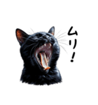 猫のスタンプpt3 黒猫 クロネコ 黒ネコ（個別スタンプ：13）