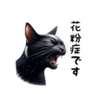 猫のスタンプpt3 黒猫 クロネコ 黒ネコ（個別スタンプ：16）