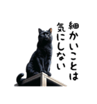 猫のスタンプpt3 黒猫 クロネコ 黒ネコ（個別スタンプ：28）