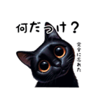 猫のスタンプpt3 黒猫 クロネコ 黒ネコ（個別スタンプ：29）