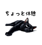 猫のスタンプpt3 黒猫 クロネコ 黒ネコ（個別スタンプ：31）