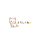 毎日使えるしろねこ（小さいサイズ）（個別スタンプ：1）