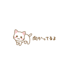 毎日使えるしろねこ（小さいサイズ）（個別スタンプ：25）