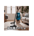 面白い犬ミームスタンプ【家事・主婦】（個別スタンプ：1）