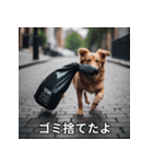 面白い犬ミームスタンプ【家事・主婦】（個別スタンプ：4）