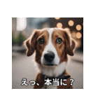 面白い犬ミームスタンプ【家事・主婦】（個別スタンプ：6）