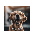 面白い犬ミームスタンプ【家事・主婦】（個別スタンプ：7）