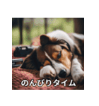 面白い犬ミームスタンプ【家事・主婦】（個別スタンプ：8）