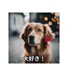面白い犬ミームスタンプ【家事・主婦】（個別スタンプ：9）