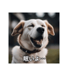 面白い犬ミームスタンプ【家事・主婦】（個別スタンプ：10）