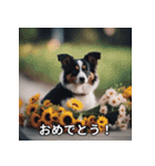 面白い犬ミームスタンプ【家事・主婦】（個別スタンプ：13）