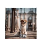 面白い犬ミームスタンプ【家事・主婦】（個別スタンプ：15）