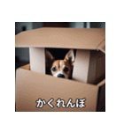 面白い犬ミームスタンプ【家事・主婦】（個別スタンプ：16）
